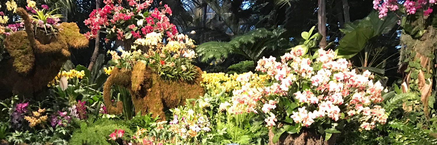 susymommy's profile banner image