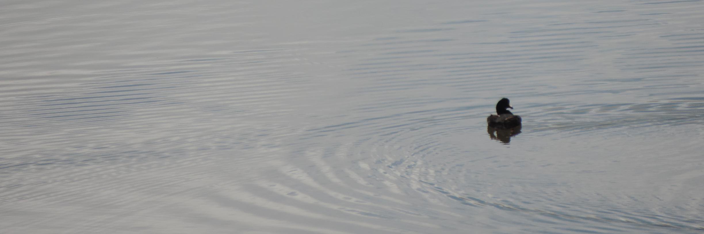 jtro43's profile banner image