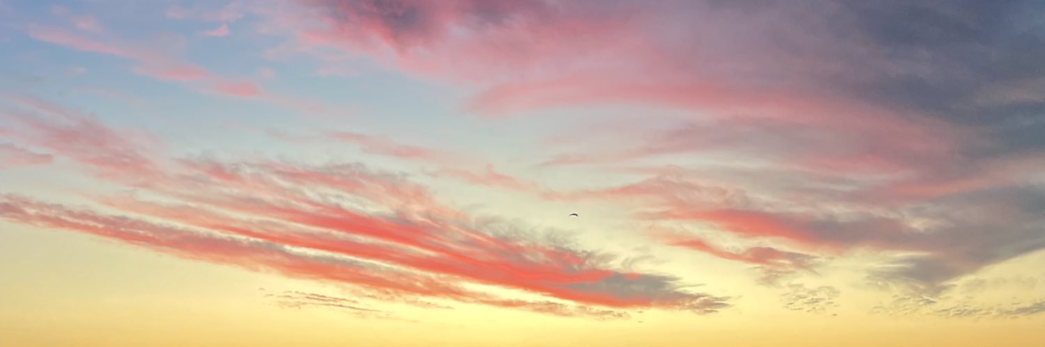 acg_n99's profile banner image