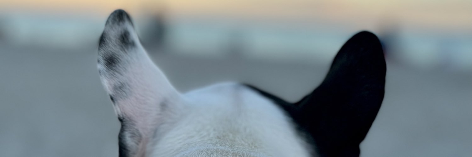 vickerssnickers's profile banner image