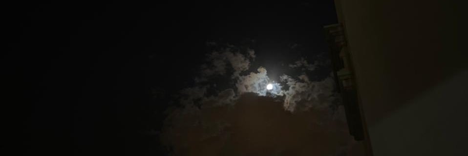 Majdzaid_'s profile banner image