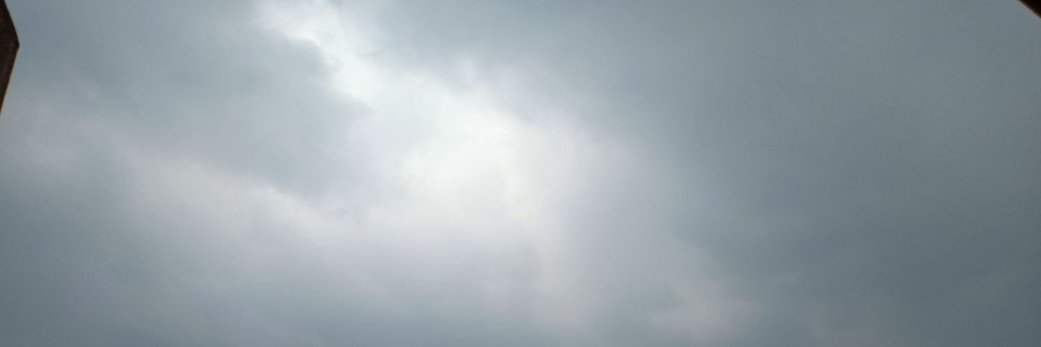 BeeUna's profile banner image