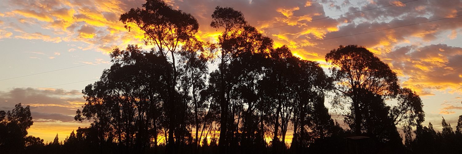 🌻💧⏳🎗Richard Gibson😷5x💉 banner