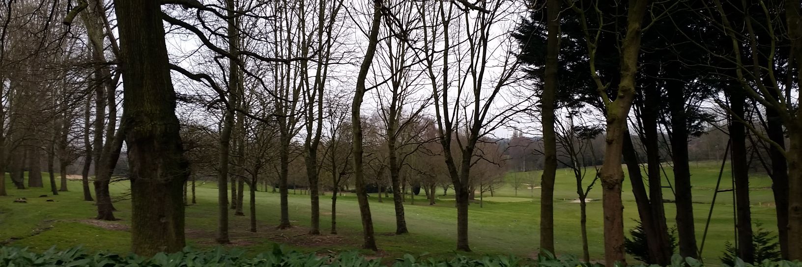 Harborne CF Golf banner