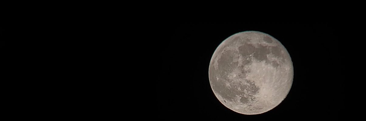 sofiagraham_'s profile banner image