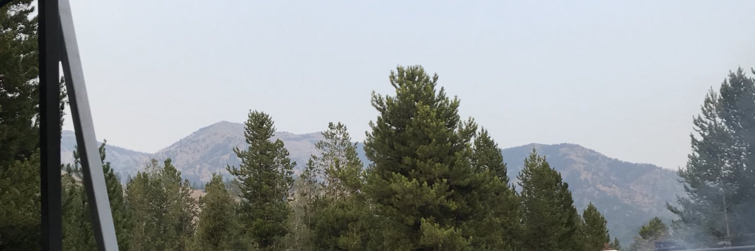 SaraBorisch's profile banner image