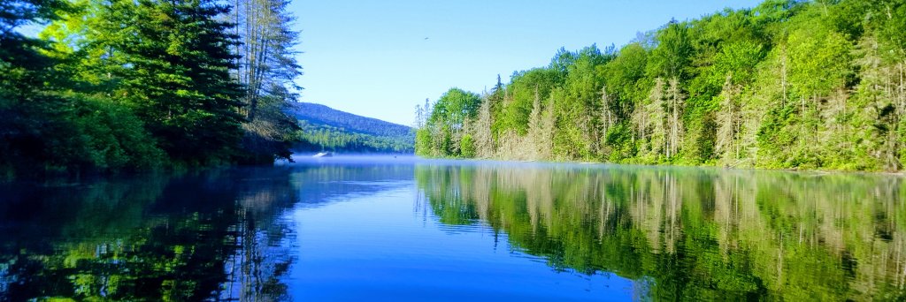 cpfflnet's profile banner image