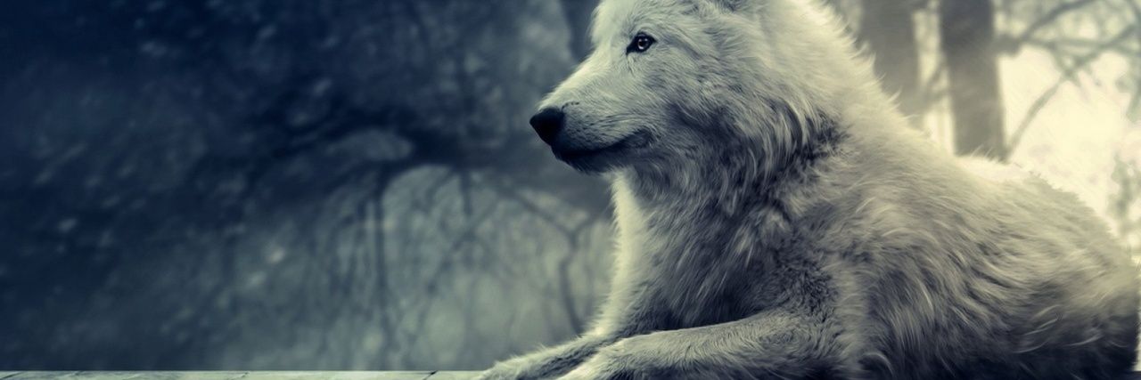 antonihipona's profile banner image