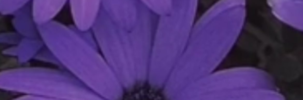 KayleyAlexa's profile banner image