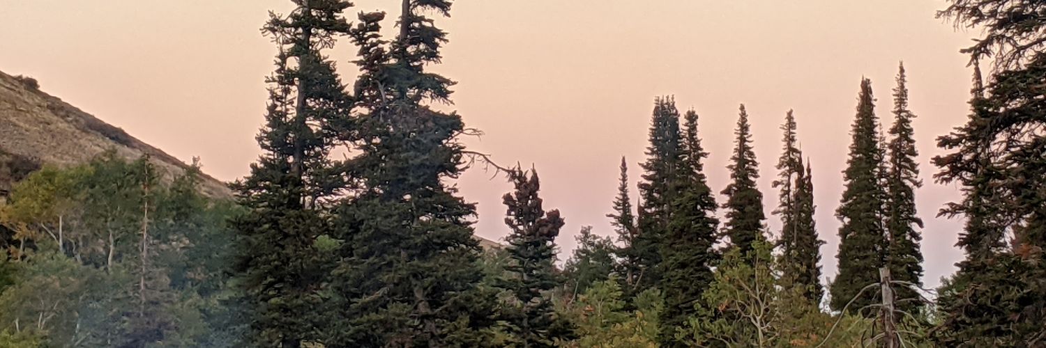 RaevynneVile's profile banner image