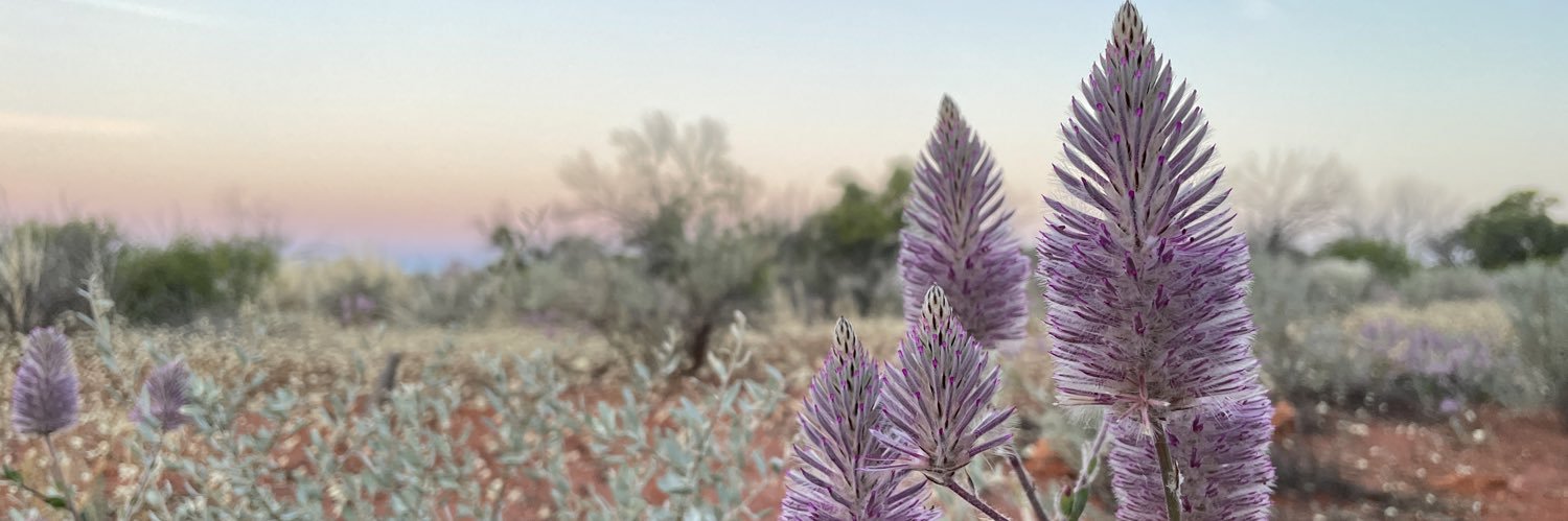 Bridget Herrmann banner