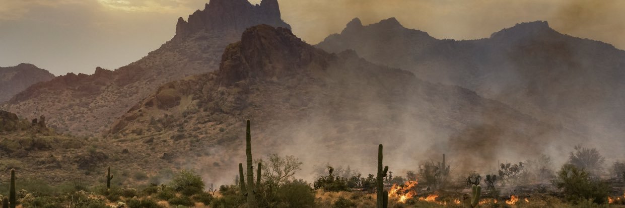 AZBLUE 🌵🌻 banner