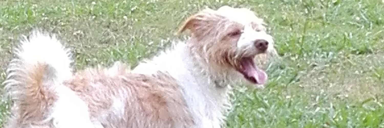 kevinrs9's profile banner image