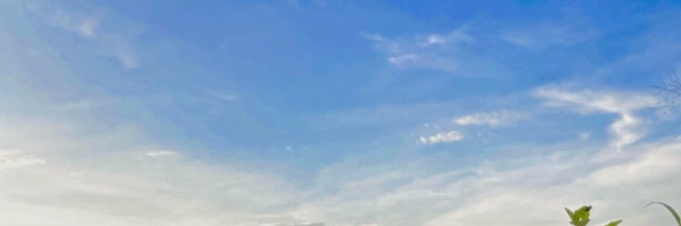 devinovitash's profile banner image