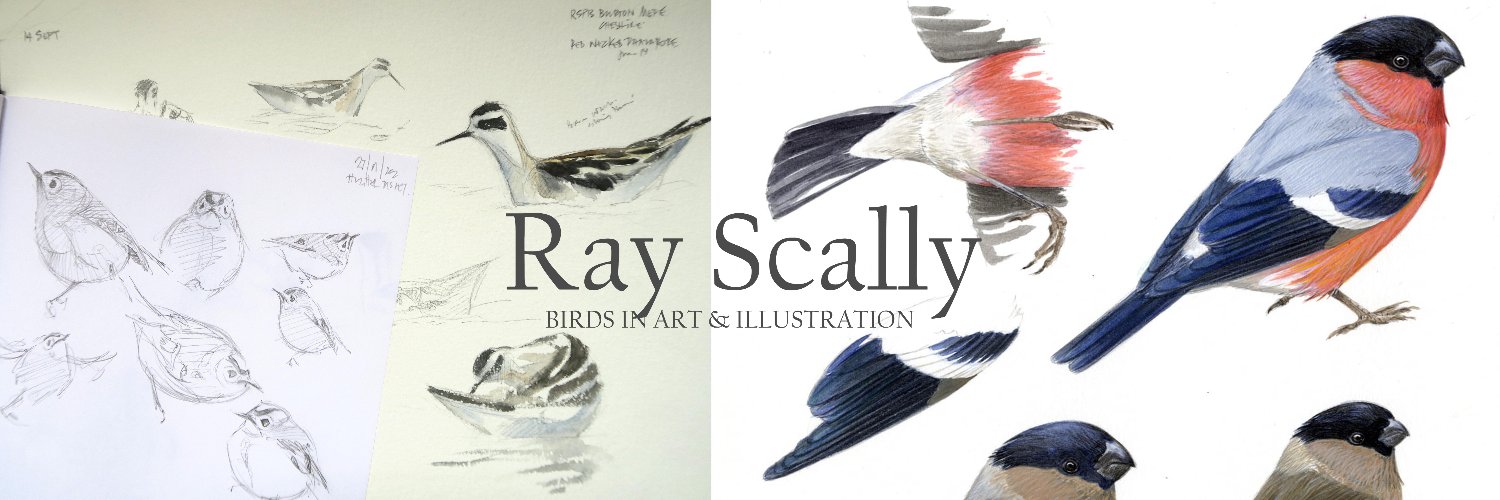 Ray Scally's banner