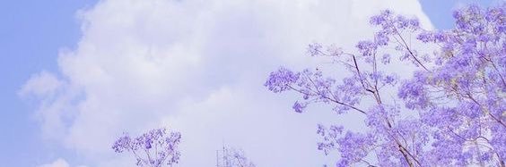 ayssuun_'s profile banner image