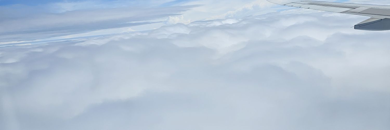 icpini's profile banner image