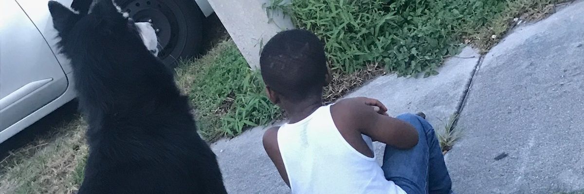 NoLookD's profile banner image
