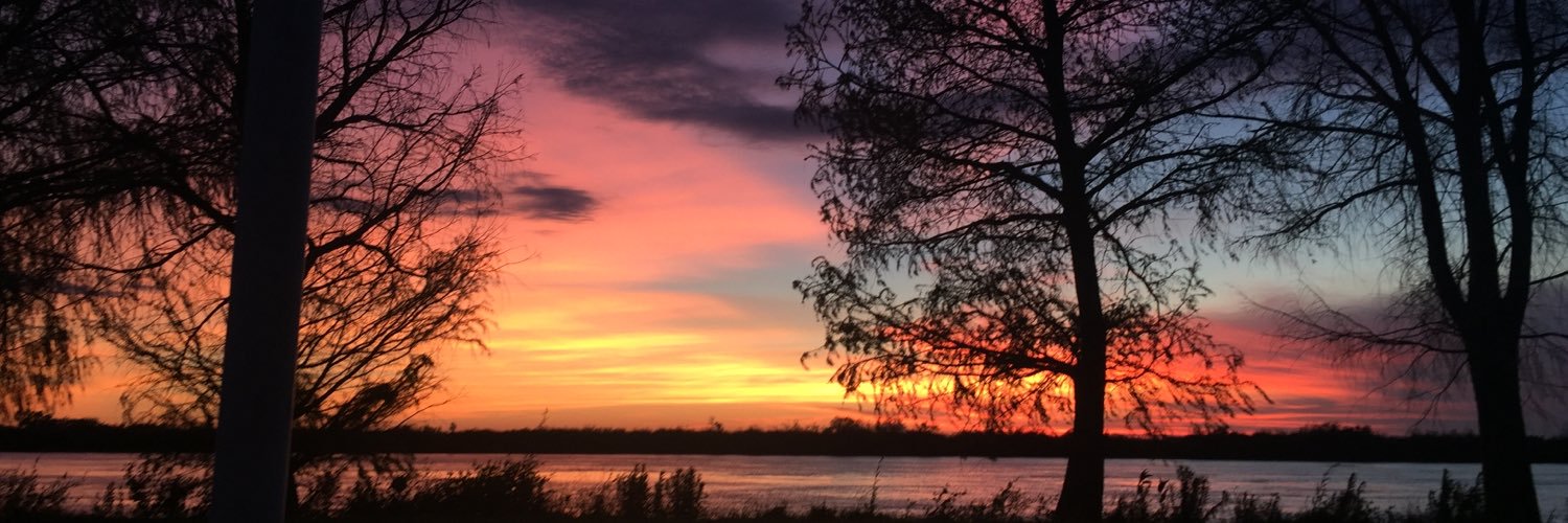 virferronato's profile banner image