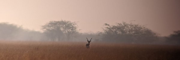 hmnaik Profile Banner