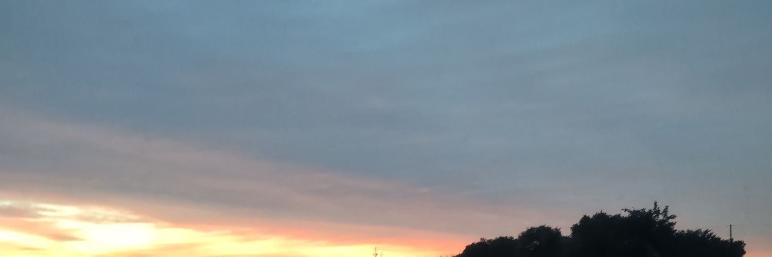 MrsAlphaHulk's profile banner image