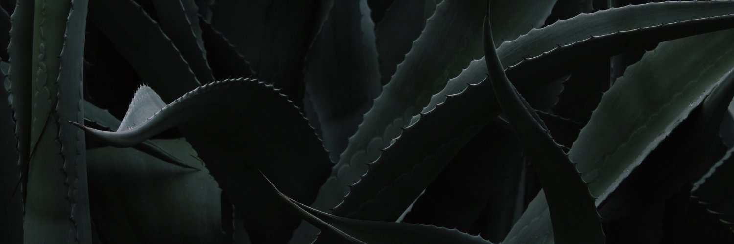 hamboneduh's profile banner image