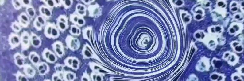 Selago's profile banner image