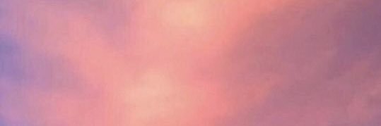 jeonsactivist's profile banner image