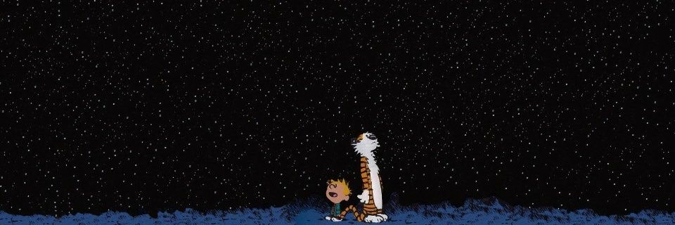 MajkaCory's profile banner image
