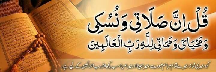 🇵🇸🇵🇰اُمّ علی banner