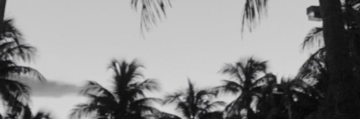 gavry423's profile banner image
