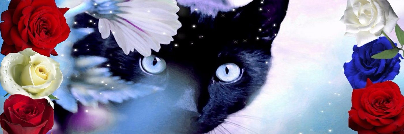 🇱🇻 Инна 🇷🇺 banner