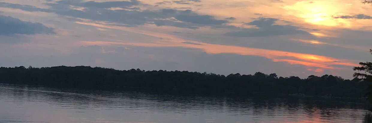 KennedySalter's profile banner image
