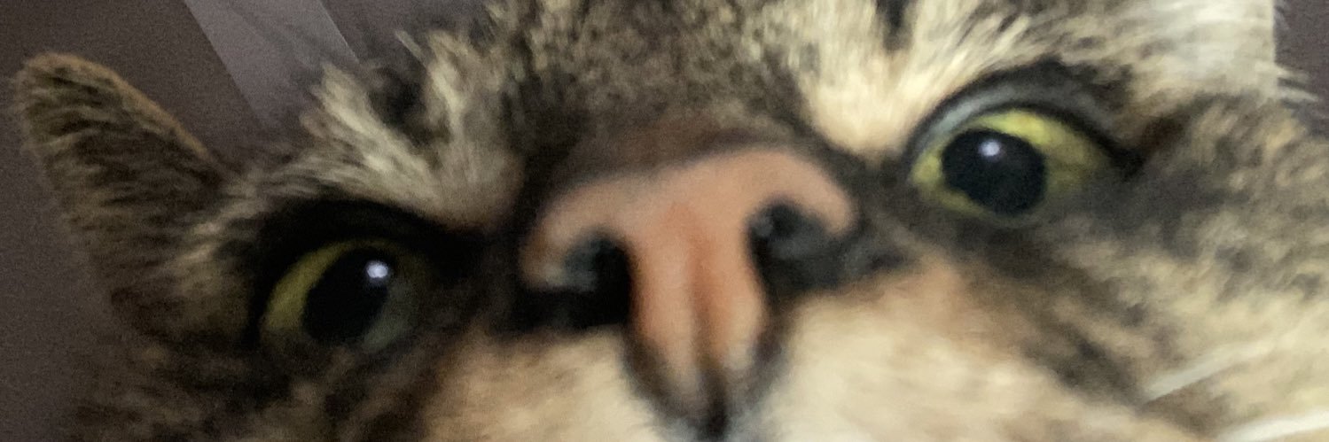 BeaDoren's profile banner image