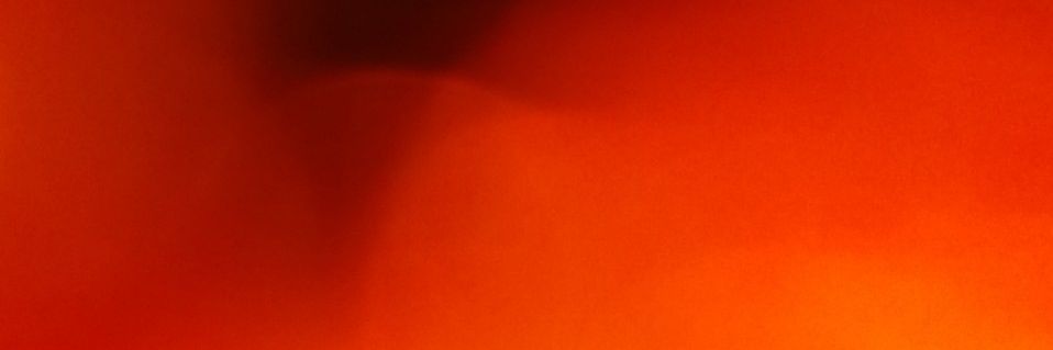 Lee F Cullen banner