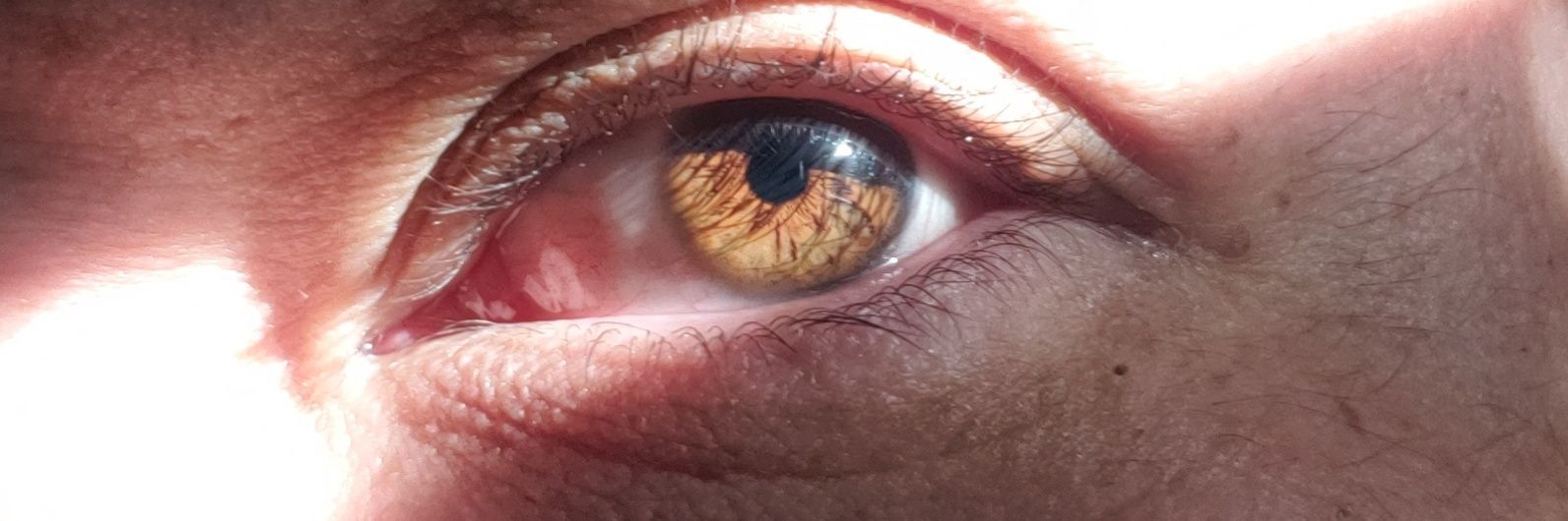 Bigdaviedave's profile banner image