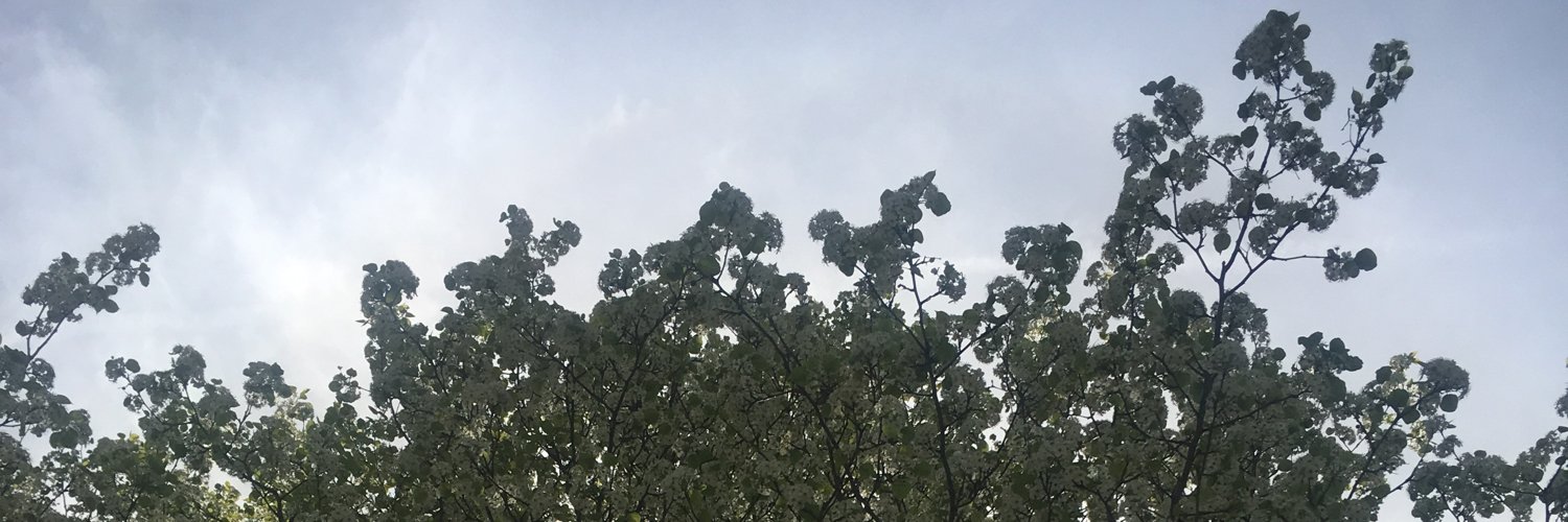 Joel McCance // @jmccance@mastodon.social banner