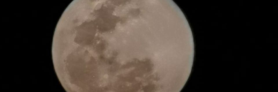 La_Turca1074's profile banner image