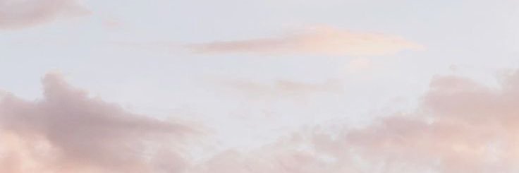 rara's banner