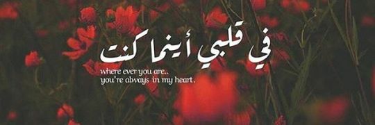 Abeer Abora banner