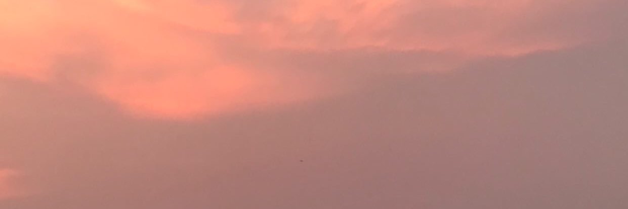 dsbrabra's profile banner image