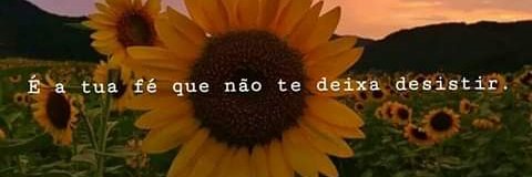 AnaBarbara_L's profile banner image