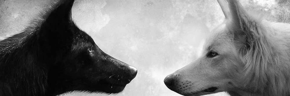 Ahma_Dude's profile banner image