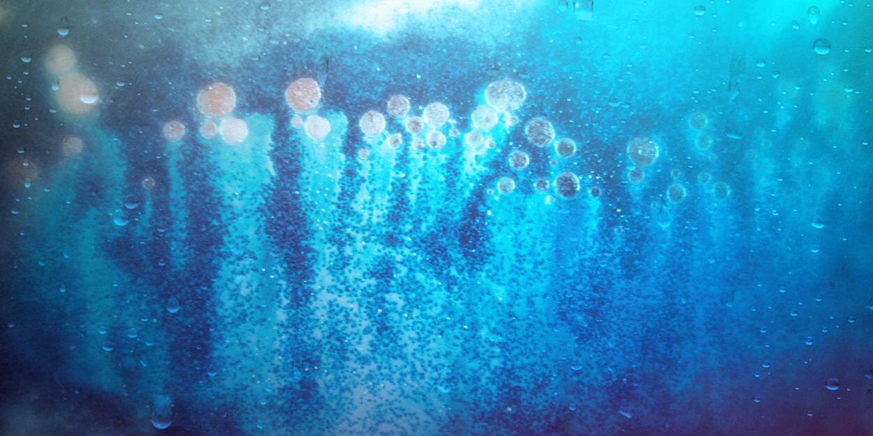 BlueOktopus's profile banner image