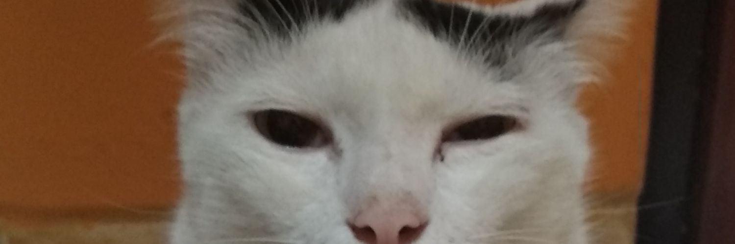 anggitasekarl's profile banner image