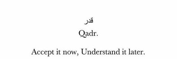 misk_eve Profile Banner