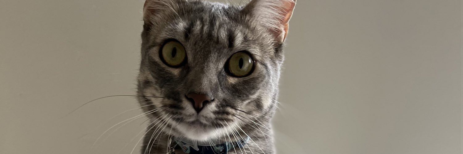 ainezc's profile banner image