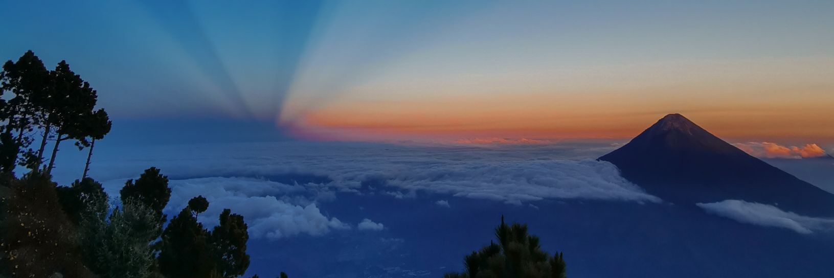 estebitango's profile banner image