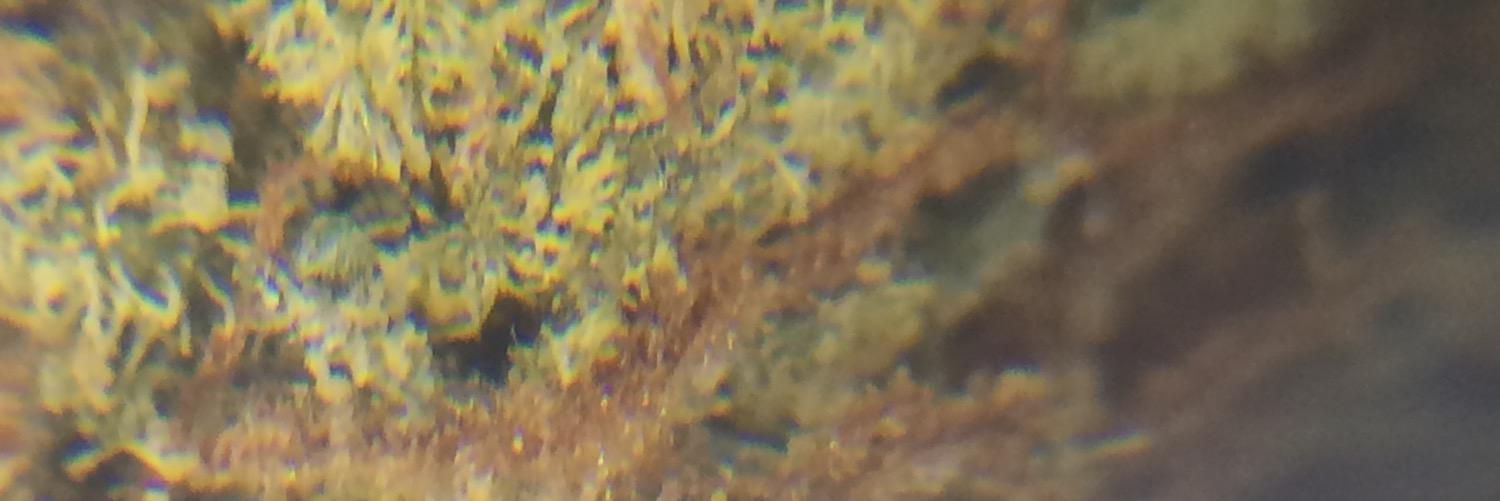 MilfInstant's profile banner image