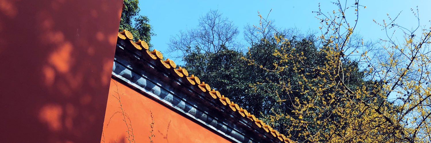 Jin Ding 丁進 banner